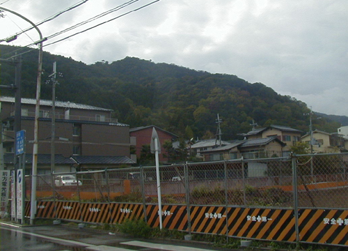 d0053294_1192654.jpg