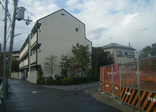 d0053294_1194499.jpg