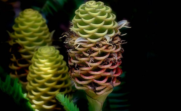 c0072801_2314555.jpg