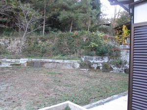 d0240201_14482295.jpg