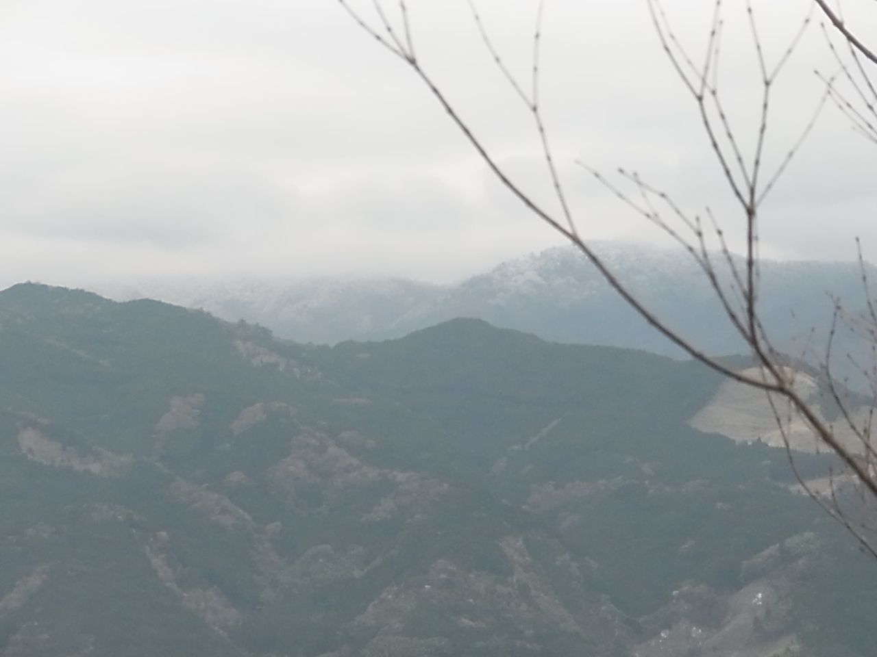 c0238603_7481753.jpg