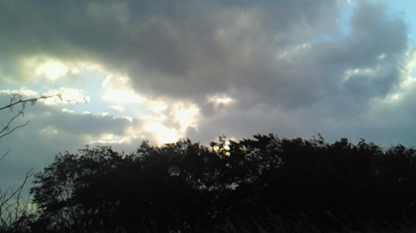 d0149105_745019.jpg