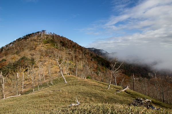 b0244811_2223795.jpg