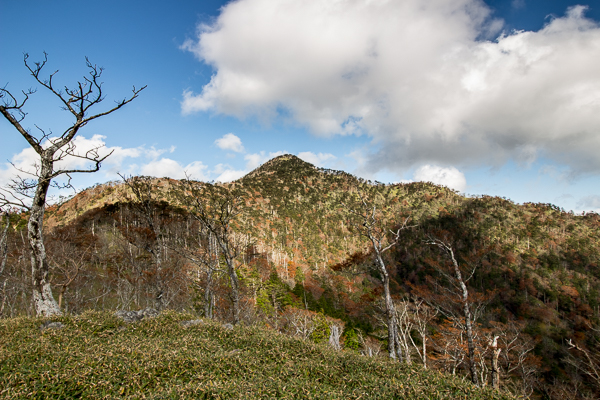 b0244811_22464614.jpg