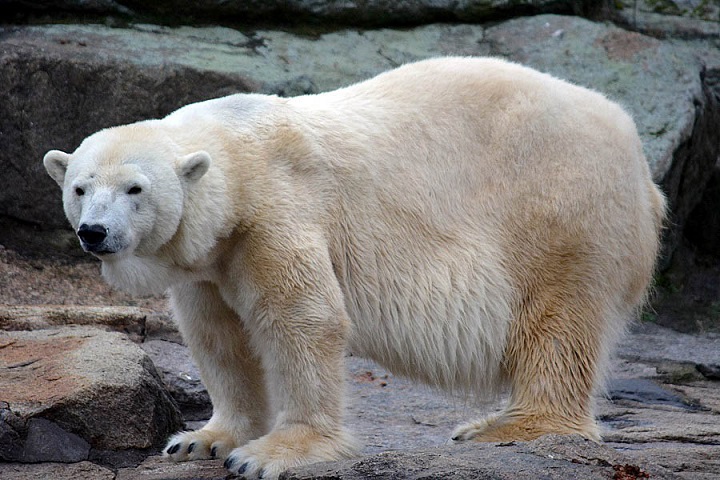 a0151913_2365039.jpg