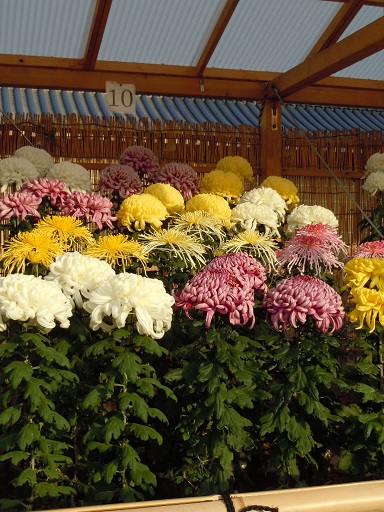 c0101913_16112297.jpg