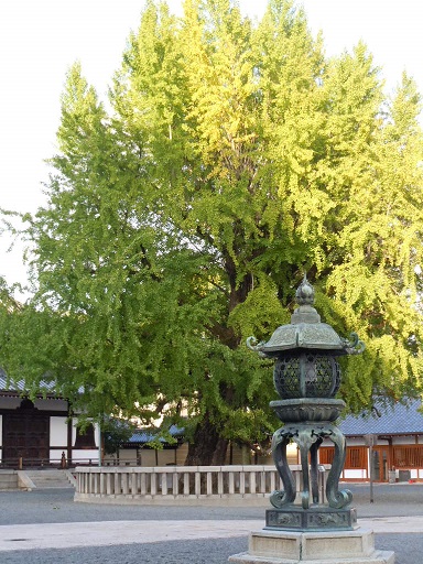 c0101913_16121627.jpg