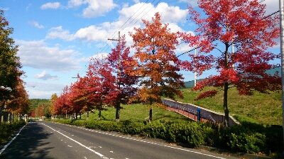e0071819_17563179.jpg
