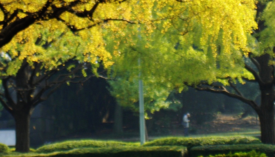 b0252727_5475640.jpg