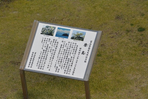 f0124830_11205912.jpg