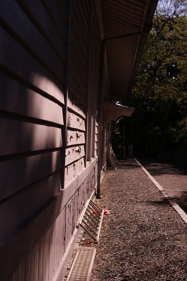 a0318033_23321830.jpg