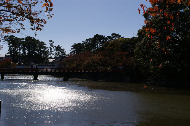 a0318033_2373618.jpg