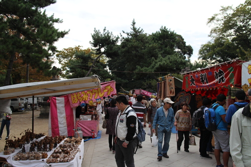 d0033734_229293.jpg