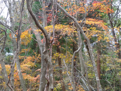 e0272335_18492475.jpg