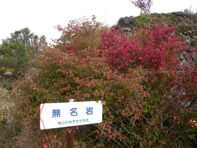 e0272335_19335593.jpg
