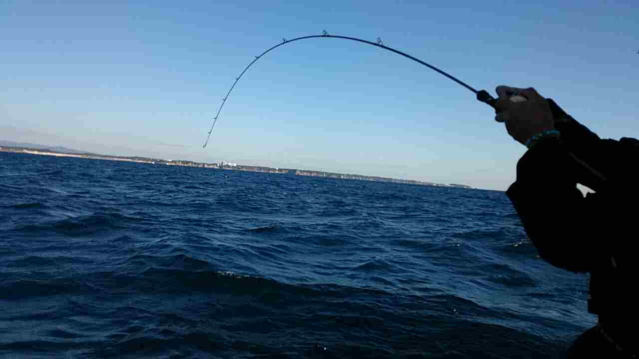 a0248152_192921.jpg