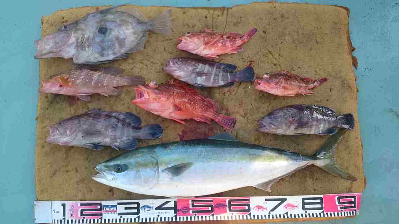 a0248152_19331367.jpg