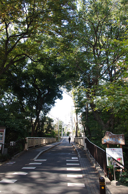 c0080357_22565421.jpg