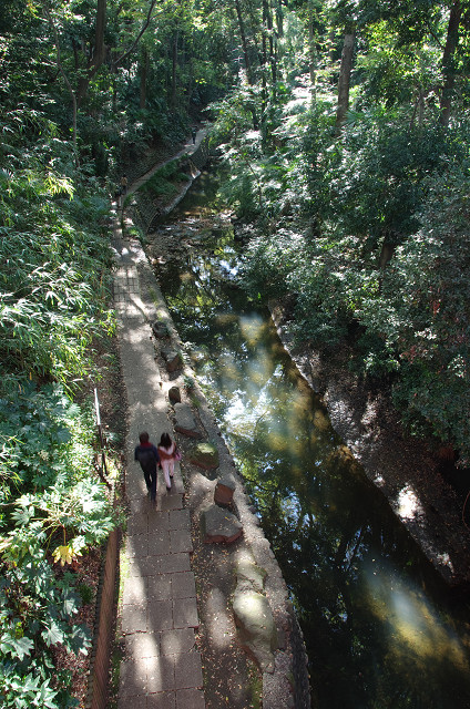 c0080357_2257426.jpg