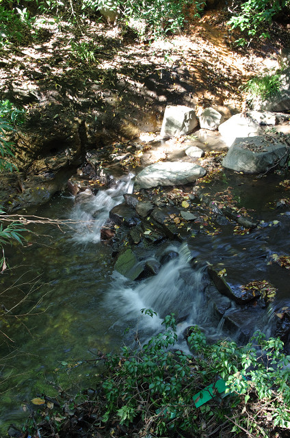 c0080357_2259051.jpg