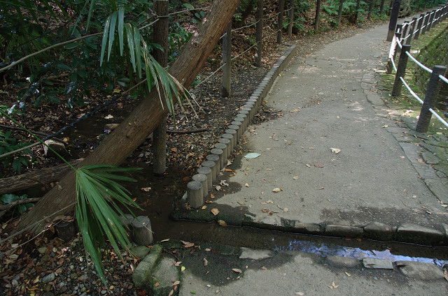 c0080357_22593520.jpg