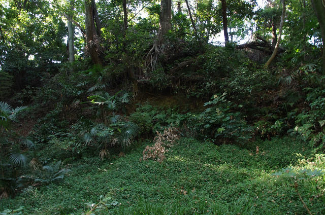 c0080357_22595257.jpg