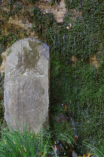 c0080357_2312510.jpg