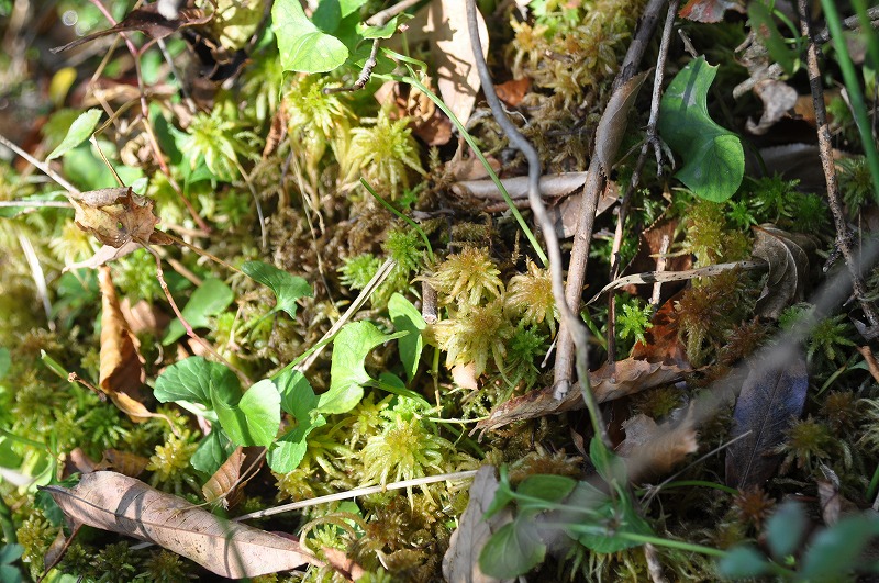 b0104861_20125818.jpg
