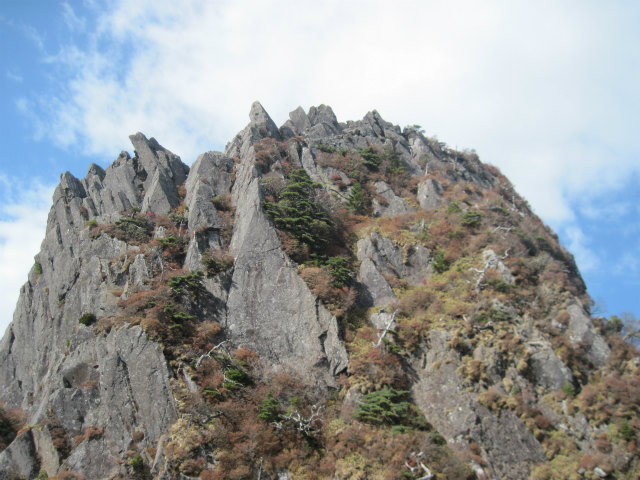 c0219866_10444247.jpg