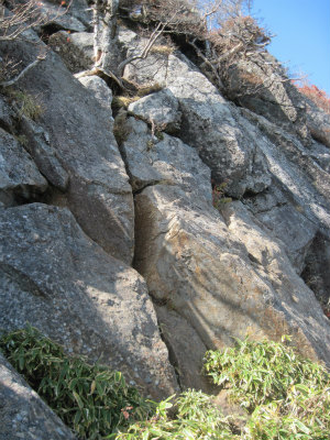 c0219866_10471088.jpg