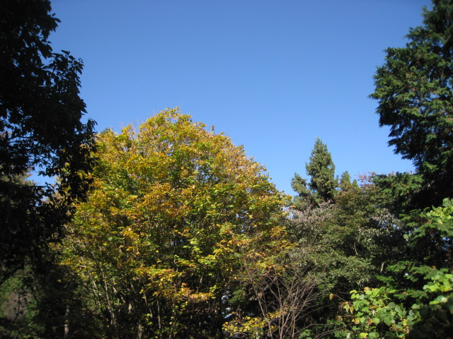 d0168669_22294491.jpg