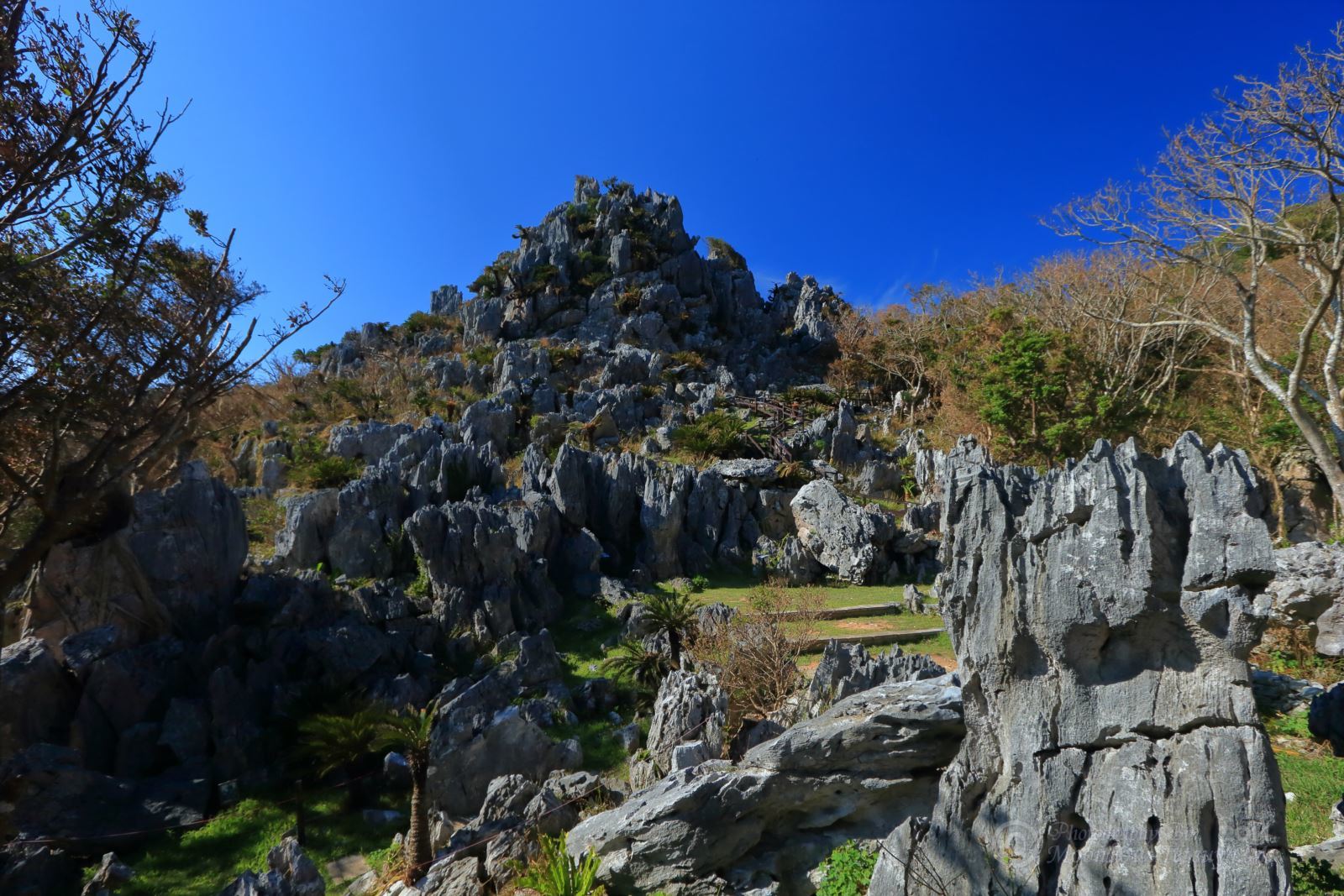 e0197769_05343532.jpg
