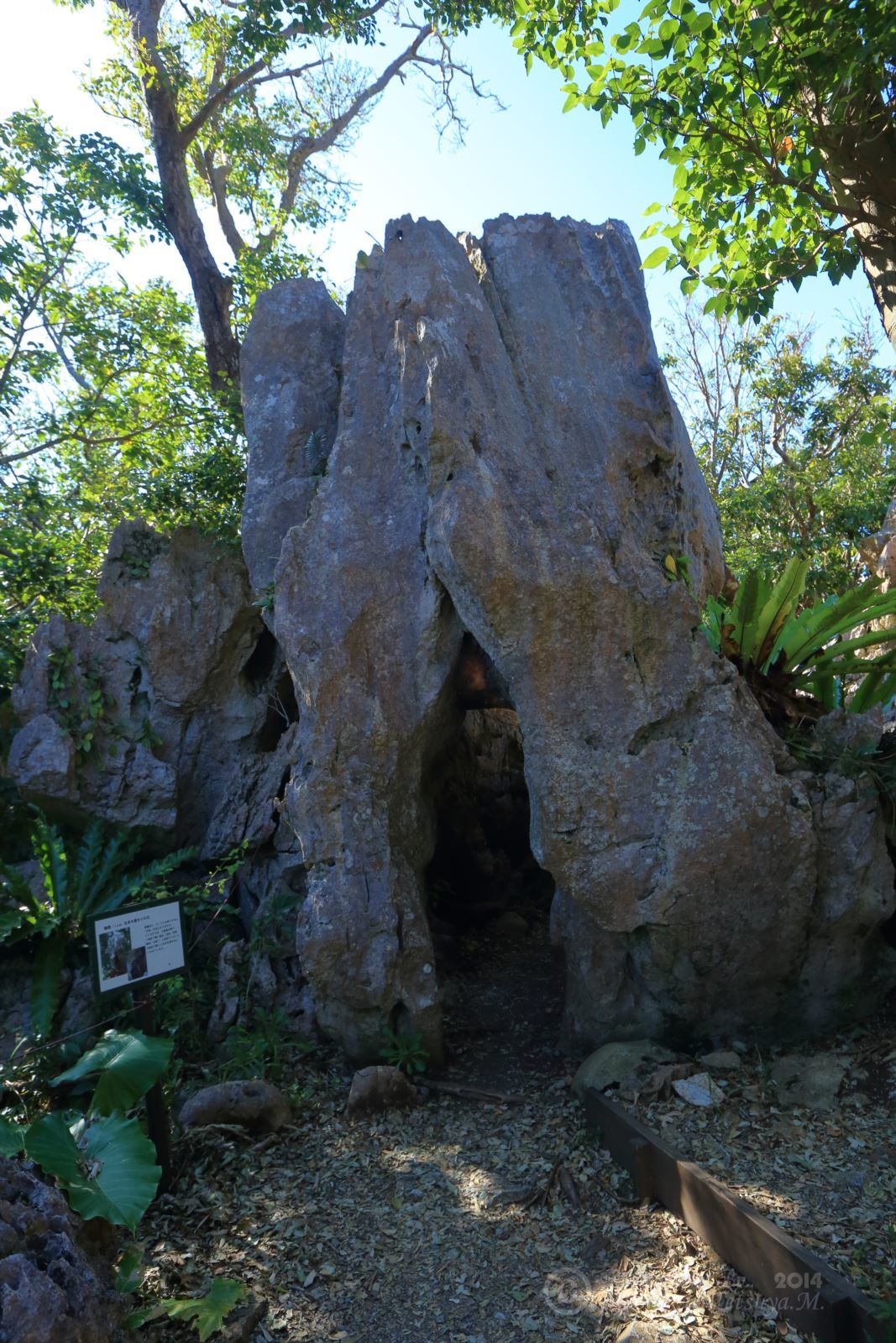 e0197769_05343653.jpg