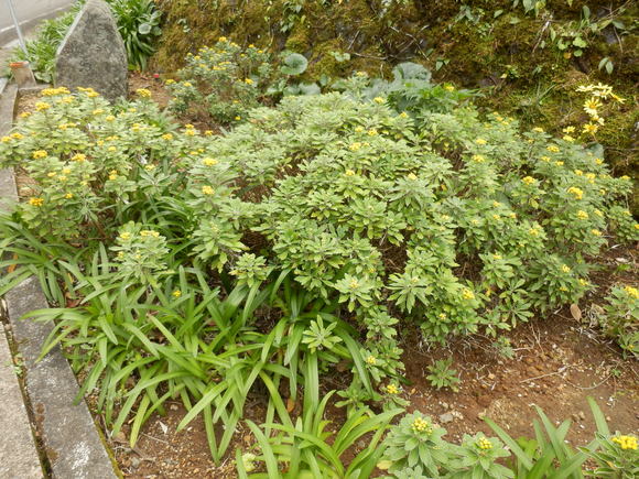 e0292172_21122713.jpg
