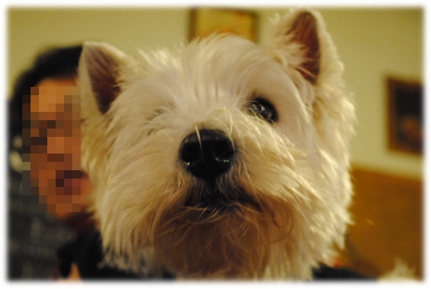 b0242873_00010056.png