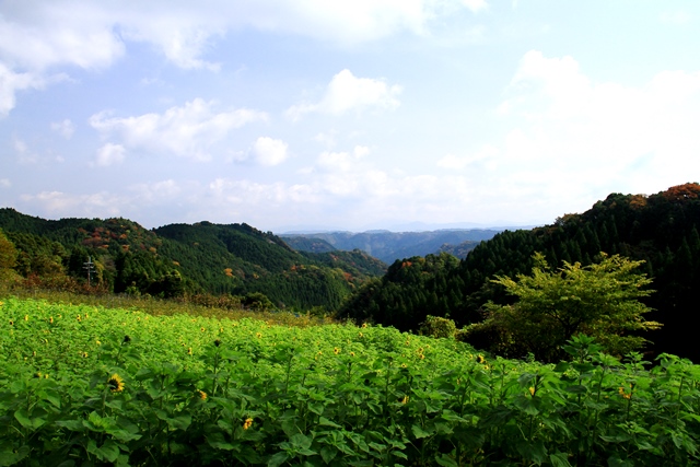 d0126577_20544249.jpg