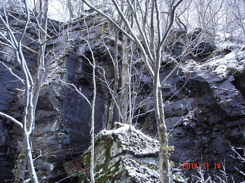 d0165378_12114059.jpg