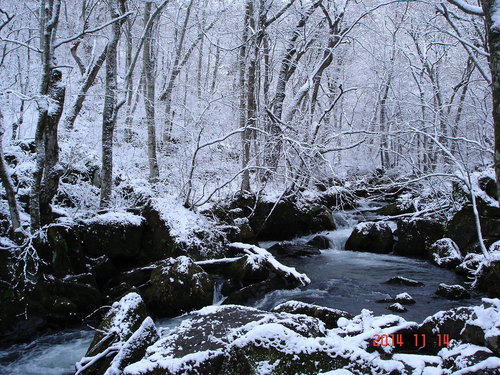 d0165378_12121721.jpg
