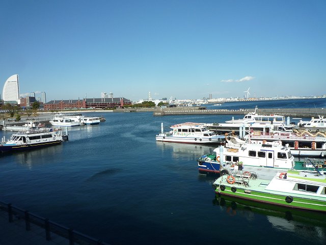 b0287088_2020729.jpg