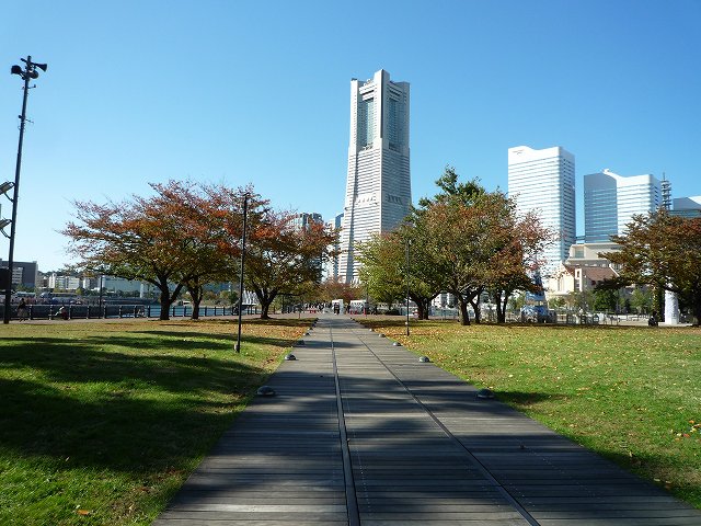 b0287088_20232351.jpg