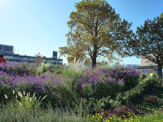 b0287088_2023565.jpg