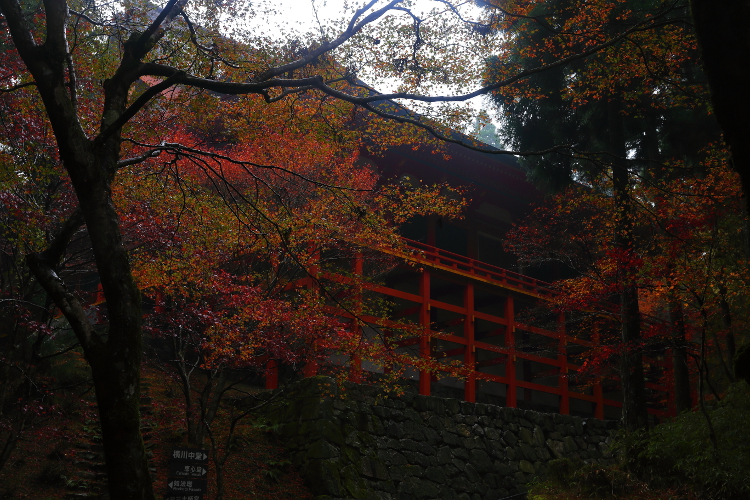 e0051888_2351184.jpg