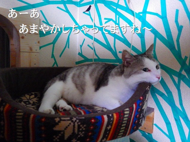 a0159490_16284393.jpg