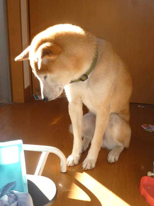 c0123890_20544016.jpg
