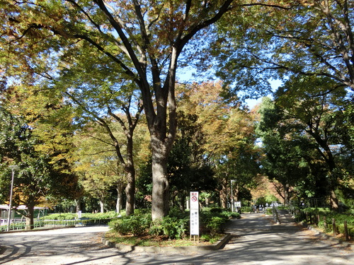 a0319693_15483398.jpg