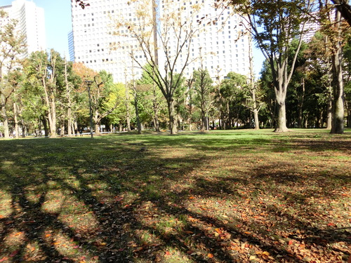 a0319693_1625798.jpg