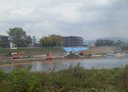 d0053294_1151569.jpg