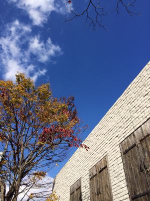 e0177509_2332865.jpg