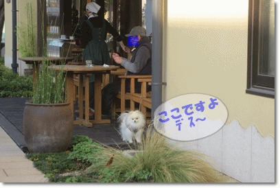 b0167519_20305324.gif