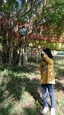 c0117621_2344229.jpg